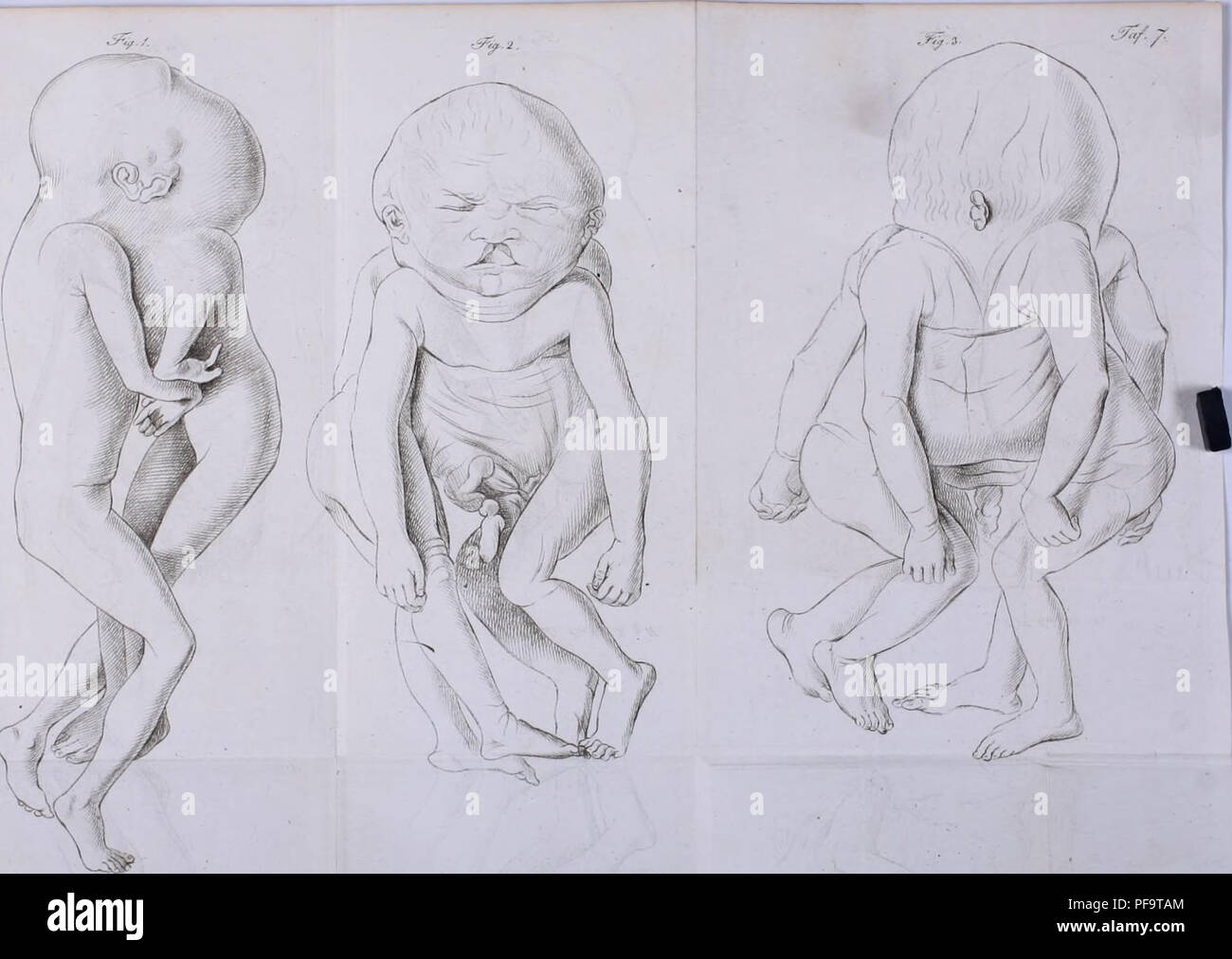 Please note that these images are extracted from scanned page images that.....