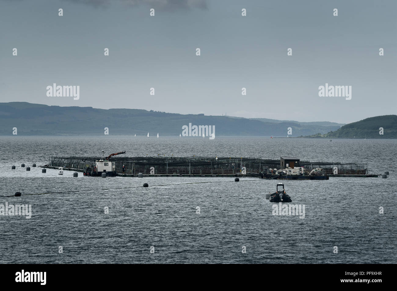 Fishnish marine farm of net pens aquaculture on the Sound of Mull with sailboats from Fishnish Lochaline Ferry Scotland UK Stock Photo