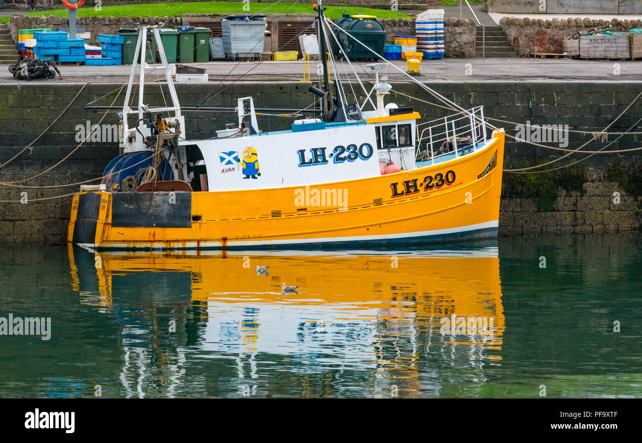Cp;ourful fishing boats in picturesque harbour, Dunbar, East Lothian