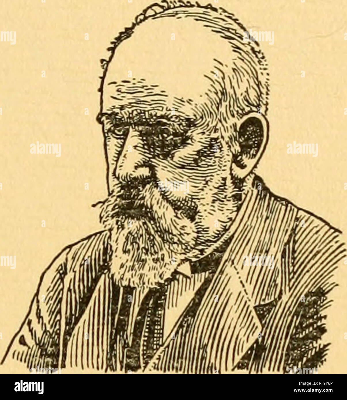 millan dictionary millan dictionary