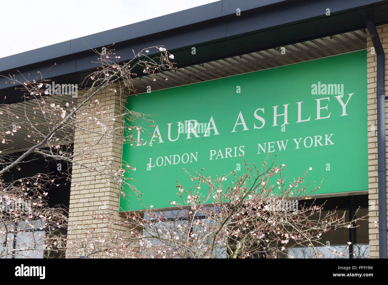 Milton Keynes, UK - March 29, 2018. Trees blossom outside a Laura Ashley store. Shares in Laura Ashley have fallen by almost 90% since 2015. Stock Photo