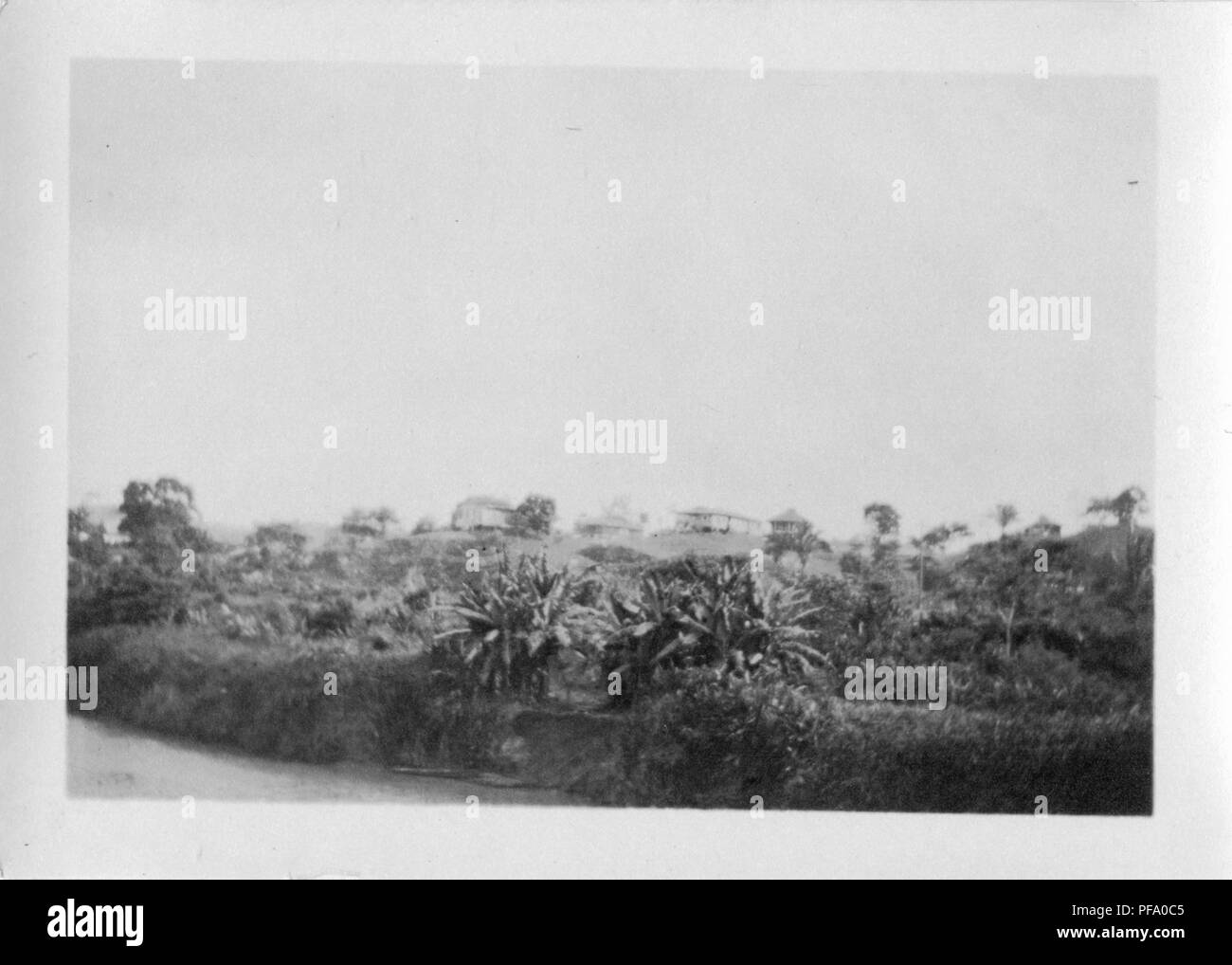 Black and white photograph, likely shot from the deck of a ship, showing banks of the Panama Canal, with a few wooden houses visible in the distance, 1915. () Stock Photo