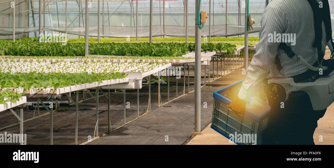 iot smart agriculture industry 4.0 concept. Farmer use artificial robot ...
