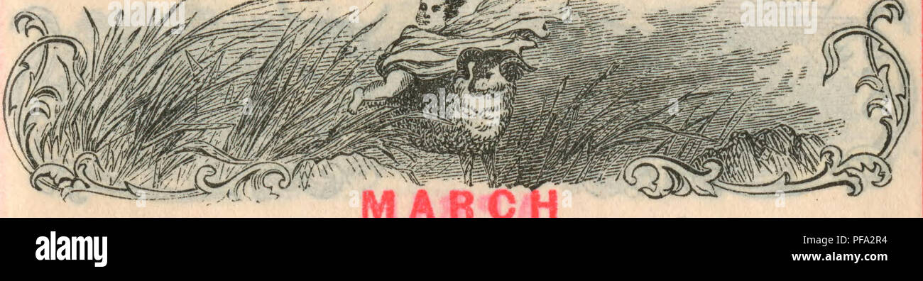 . Diary, February 5-April 29, 1900. Ornithology; Herpetology. MAY MOON'S PHASES. (In Standard Time.) First Quarter Full Moon Last Quarter New Moon ... EASTERN DIVISION. 6d. 8h. 39m. A.M. i4d. loh. 36m. A.M. 2id. 3h. 31m. P.M. 28d. 9h. 50111. A.M. o Day of W'k. CENTRAL DIVISION. 6d. jh. 39m. A.M. r4d. 9h. 36m. a.m. 2id. 2I1. 31m. p.m. 28d. 8h. 50m. A.M. LATITUDE OF BOSTON AND CHICAGO. Local Mean Time. Sun Moon R.&amp;S. Boston Tide. Stand. Time. LATITUDE OF NEW YORK AND PHILADELPHIA. Local Mean Time. Sun R.&amp;S. Moon R.&amp;S. N. Y. Tide. Stand. Time. LAT. OF WASH. CIN. &amp; ST. LOUIS.. Loca Stock Photo