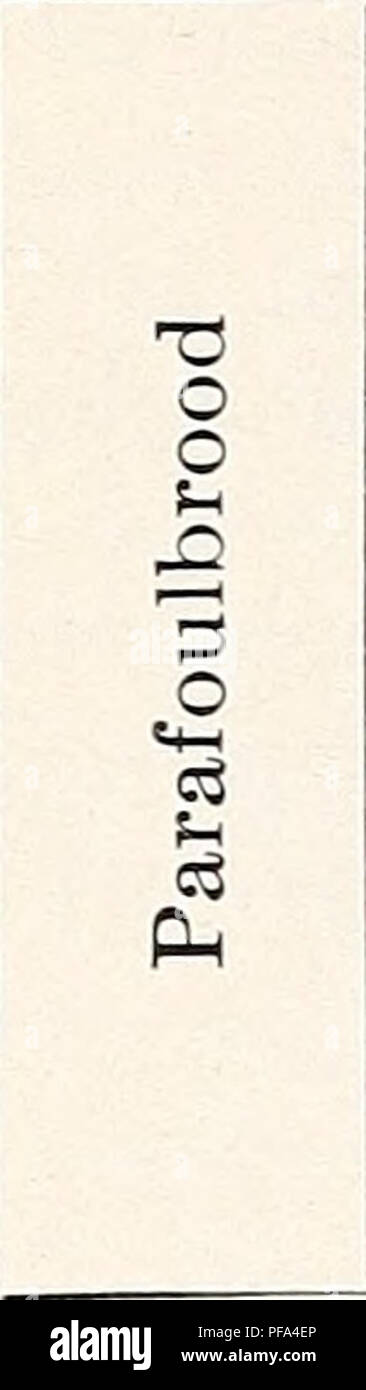 Flj High Resolution Stock Photography And Images Alamy