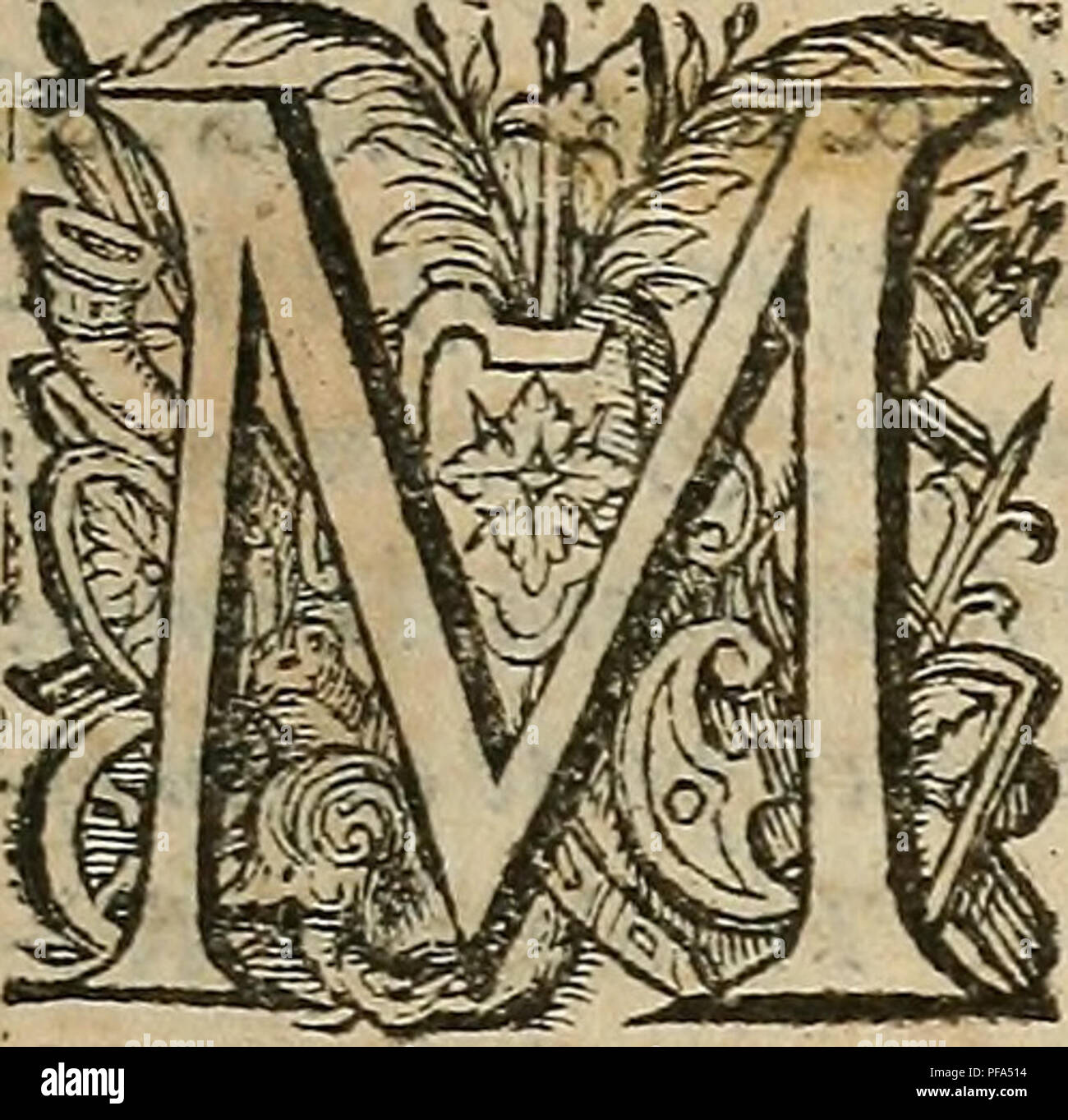 . Devx livres des venins, ausquels il est amplement discouru des bestes venimeuses, theriaques, poisons. Poisonous animals; Poisonous plants; Poisons; Antitoxins; Poetry by physicians; Toxins; Poisons. DES V E N Ã¯ K S. 191 A MON SIE VR,' MONSIEVR DE CARNAVALET, CHEVALIER DE l'ORDRE DV ROY, ET G O y V E RN E V R DE MO N S I,E V R. O N S I. E V K yejlanthien ajjefirÃ©jque le bon &quot;Vouloir que &quot;vom porte:^ aux lettres a engendrÃ© en -vom &quot;vne naturelle affeÃ©Ã®ion ^ bien-yeuil- lance entiers ceux qui [^efforcent par eftude d'y acquÃ©rir quelque de^Ã©, ie me fuis enhardy de yorn pre Stock Photo