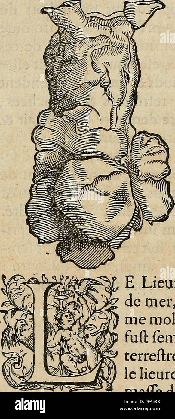 Z Cha High Resolution Stock Photography And Images Alamy