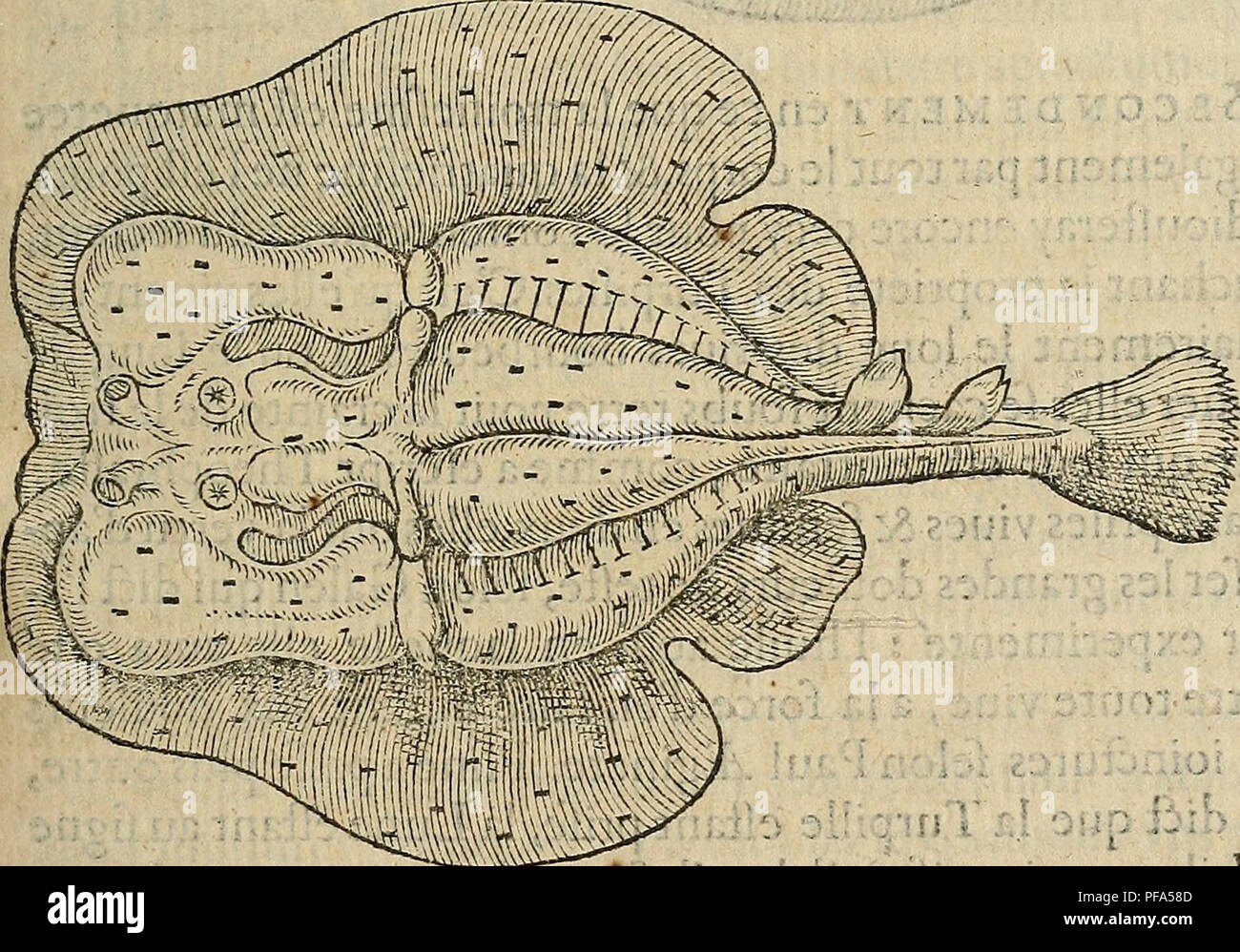 Page 3 De Fang High Resolution Stock Photography And Images Alamy