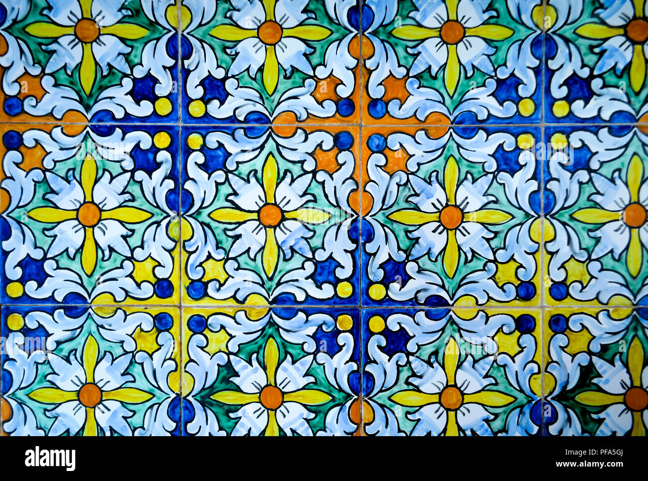 Spanish Floral Pattern