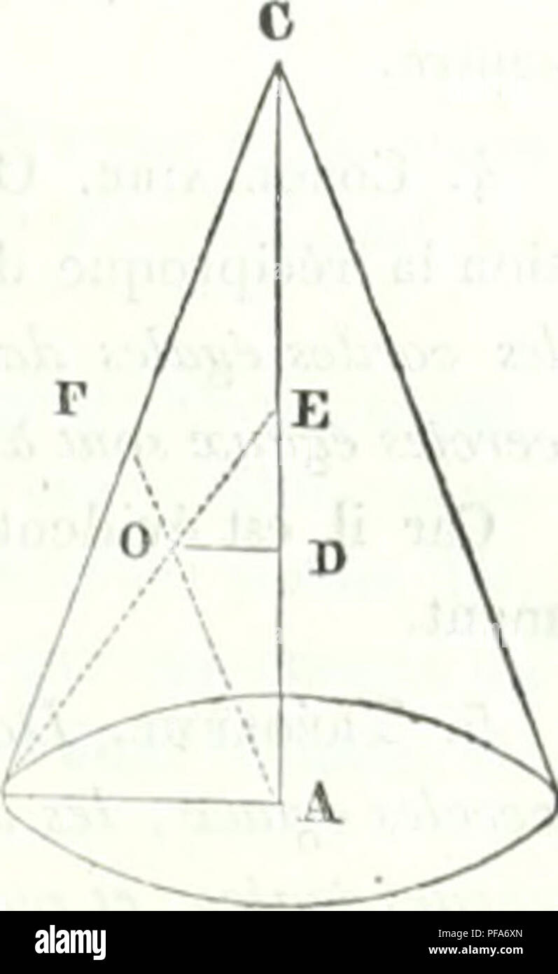 Mathmematical Conch This dictionary covers both pure and applied mathematics, detailing ...
