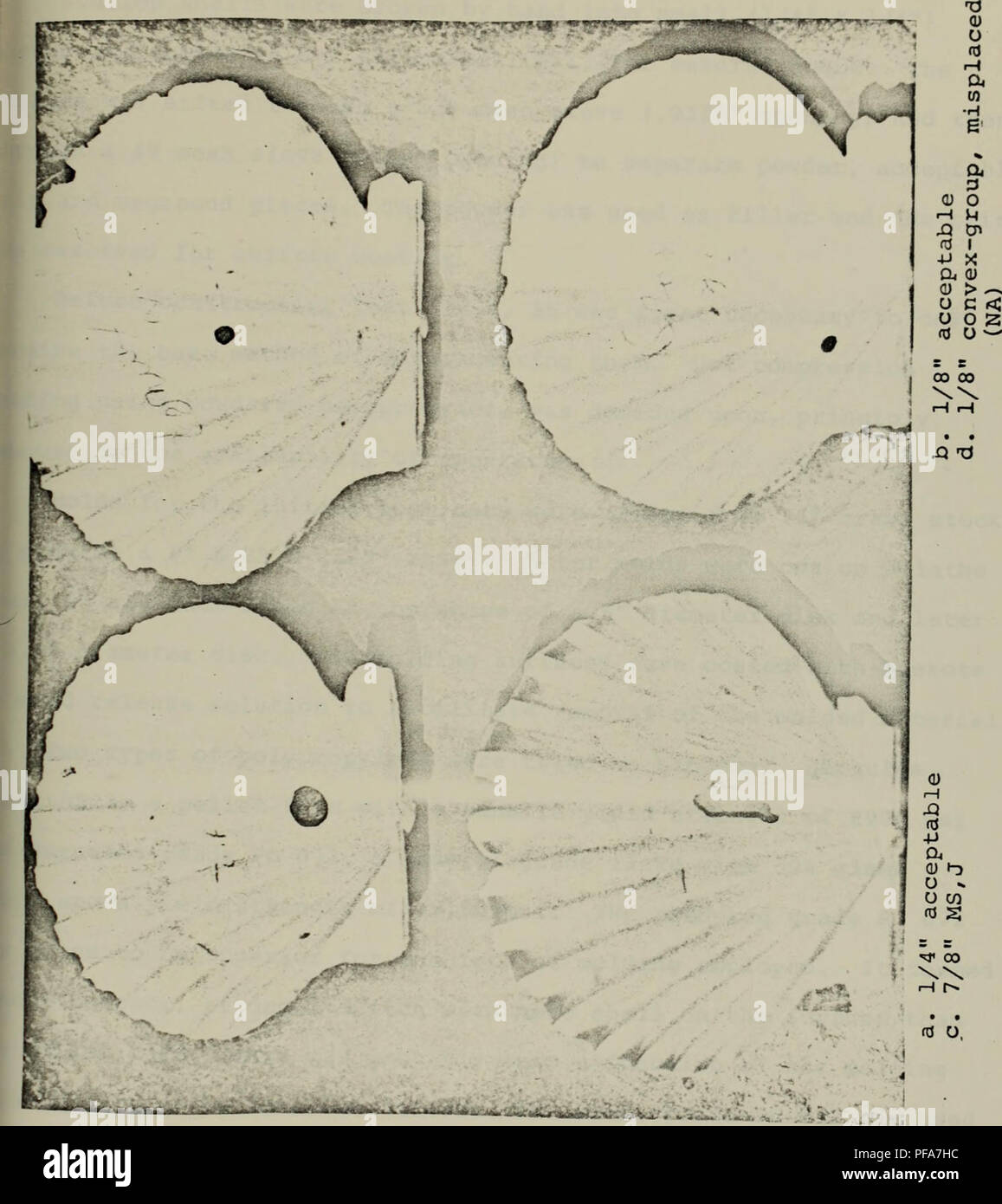 . Development of an oyster cultch material for three dimensional oyster aquaculture.. Oceanography. So FIGURE 9 a) O Xi V:*g;-f w-.-ti*** nr»-**. Please note that these images are extracted from scanned page images that may have been digitally enhanced for readability - coloration and appearance of these illustrations may not perfectly resemble the original work.. Fisher, John Walker.. Massachusetts Institute of Technology Stock Photo