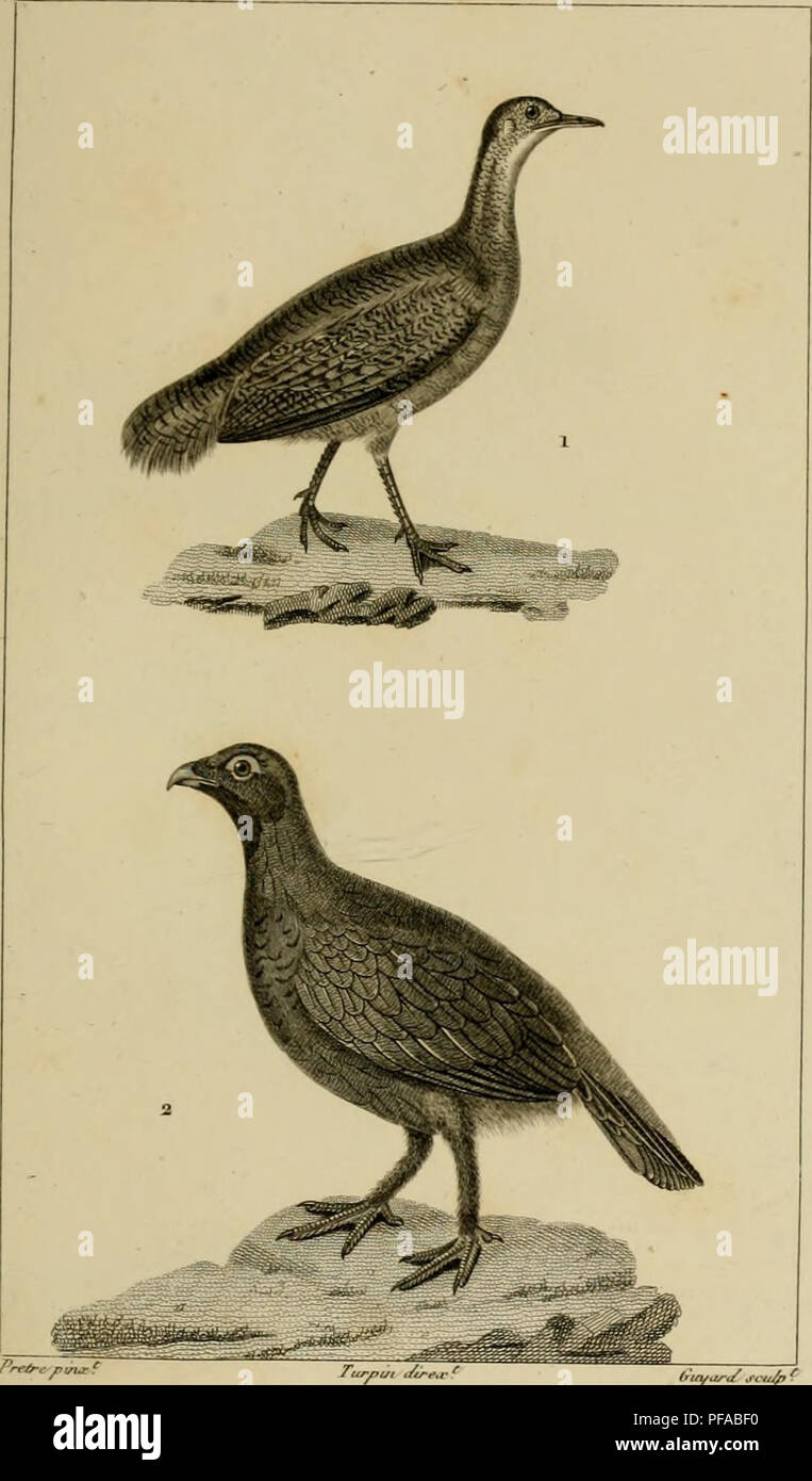 This comprehensive dictionary covers various natural sciences ...