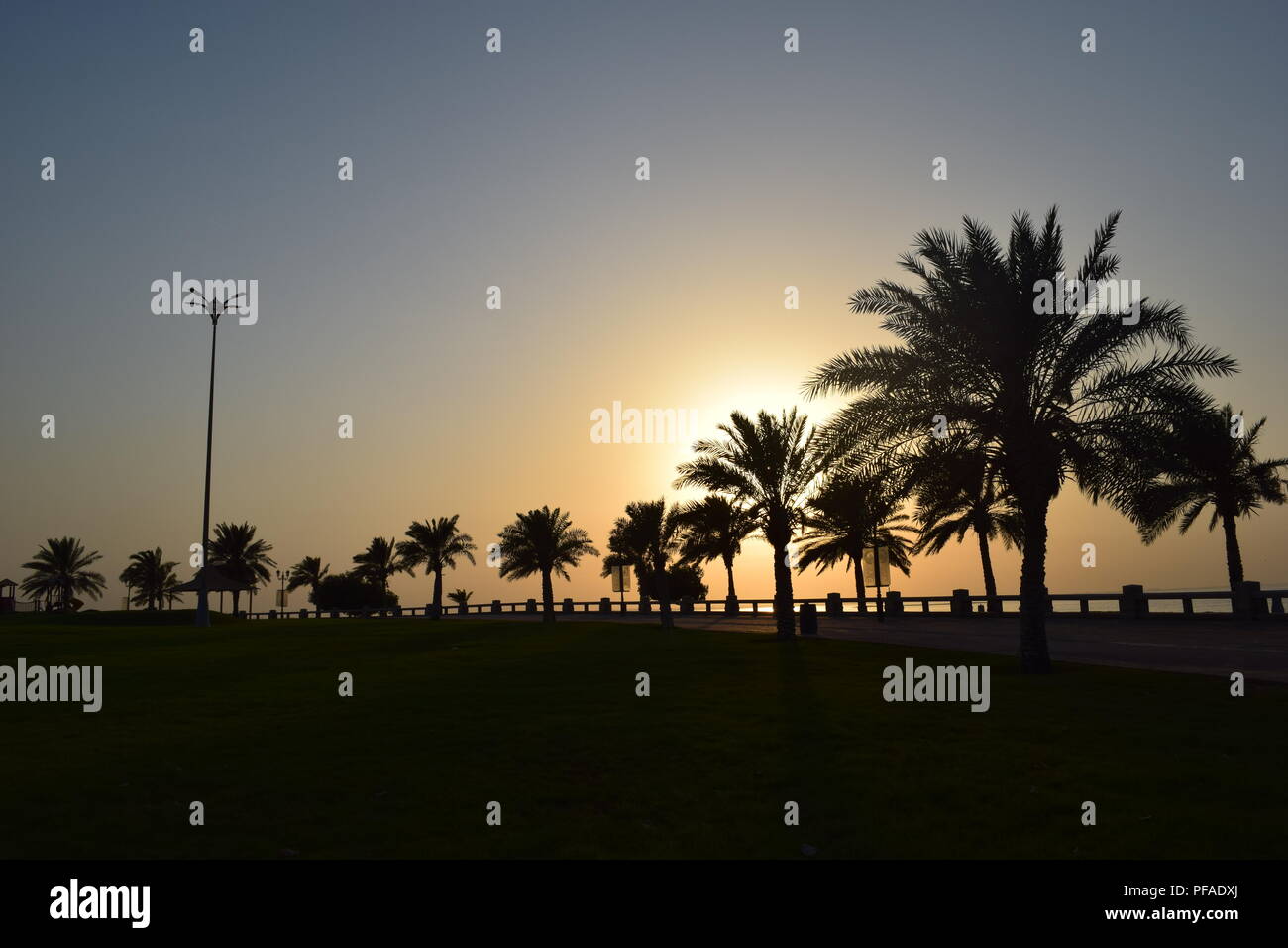 Palm Trees silhouetted against against a dusk sky during sunset in the City of Dammam Stock Photo
