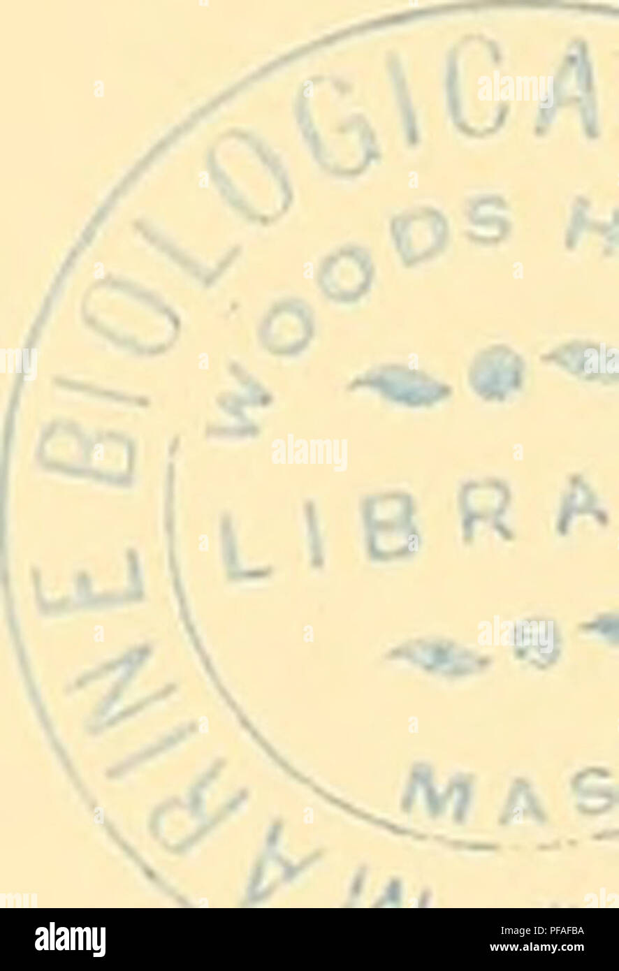 barbour grössentabelle herren