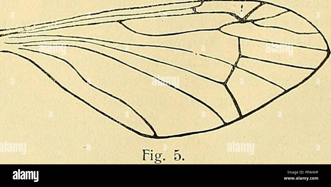 Insect Field Work This work discusses the field of entomology with a focus on insect wing ...