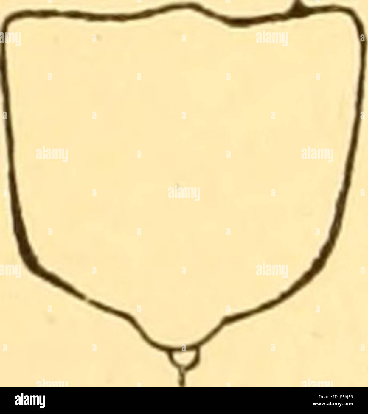 Poisson Raya C Rouge Ou Homard Sur Plaque Jusqu A L Aube Vue Photo Stock Image Du Plaque Aube 155645024