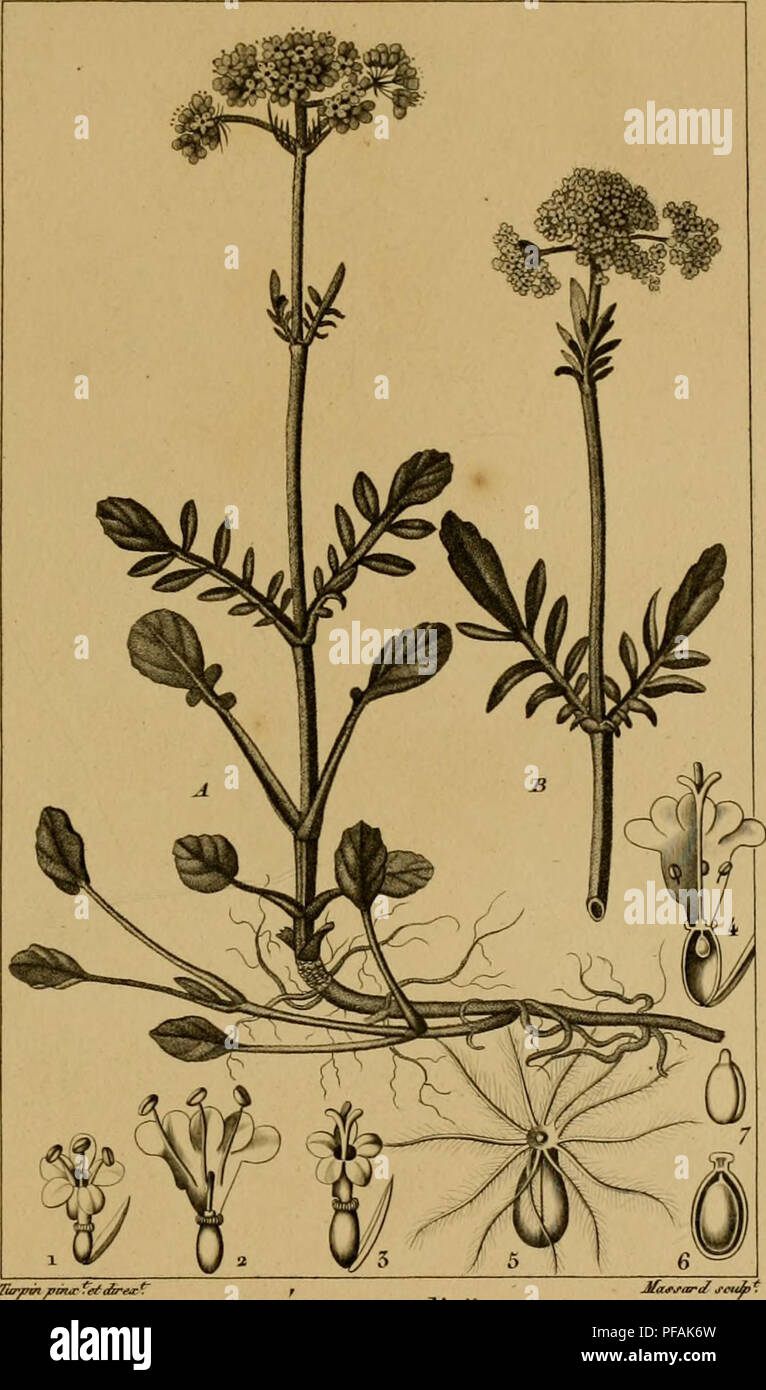 Page 2 Iin E High Resolution Stock Photography And Images Alamy