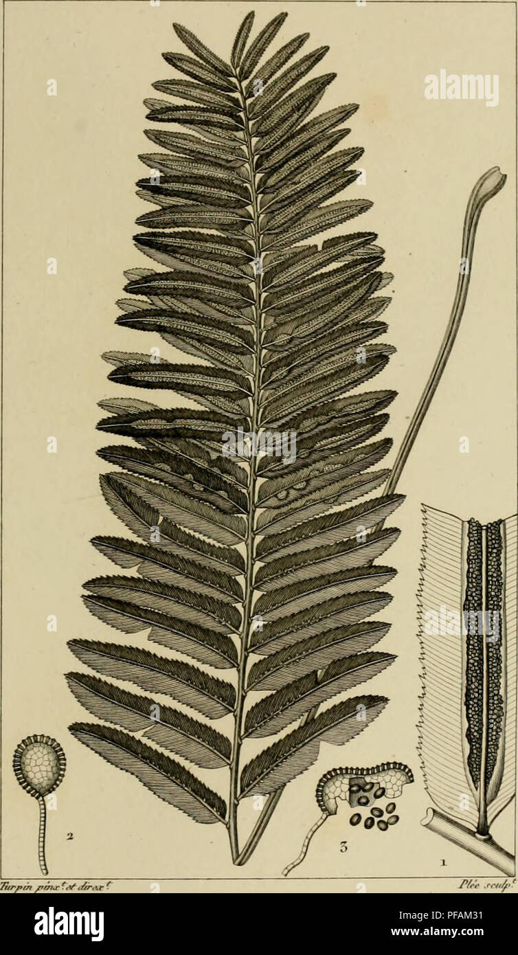 U A M High Resolution Stock Photography And Images Alamy