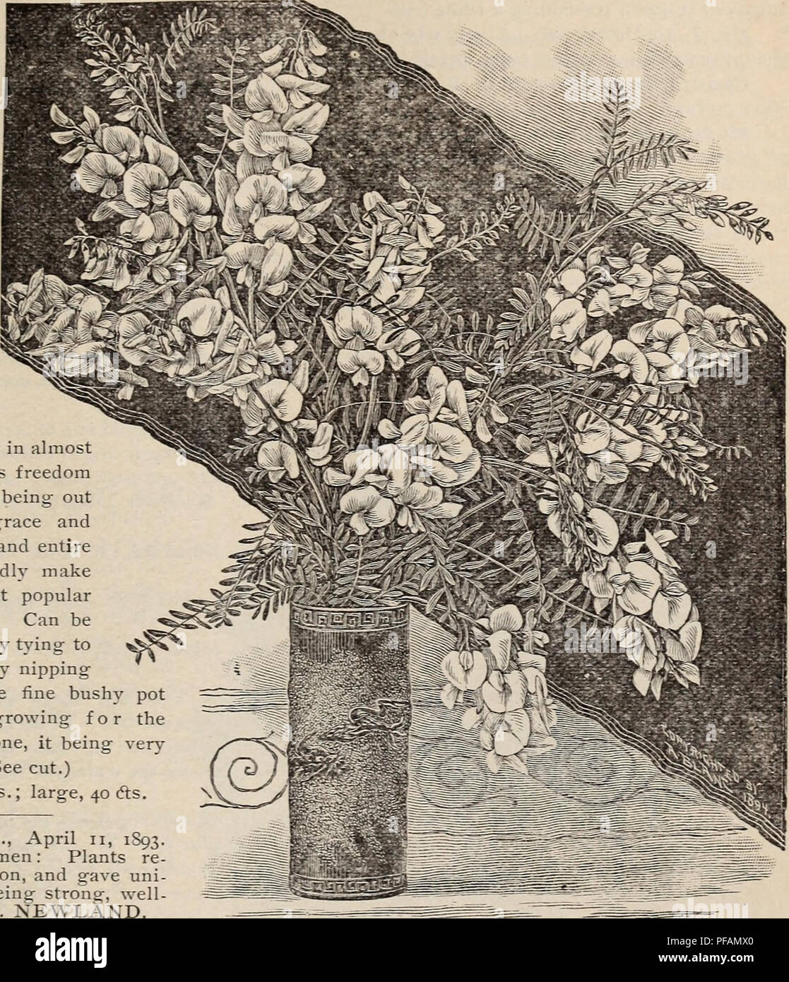 Stridor High Resolution Stock Photography And Images Alamy The new fossil type may have a smaller stack size. alamy