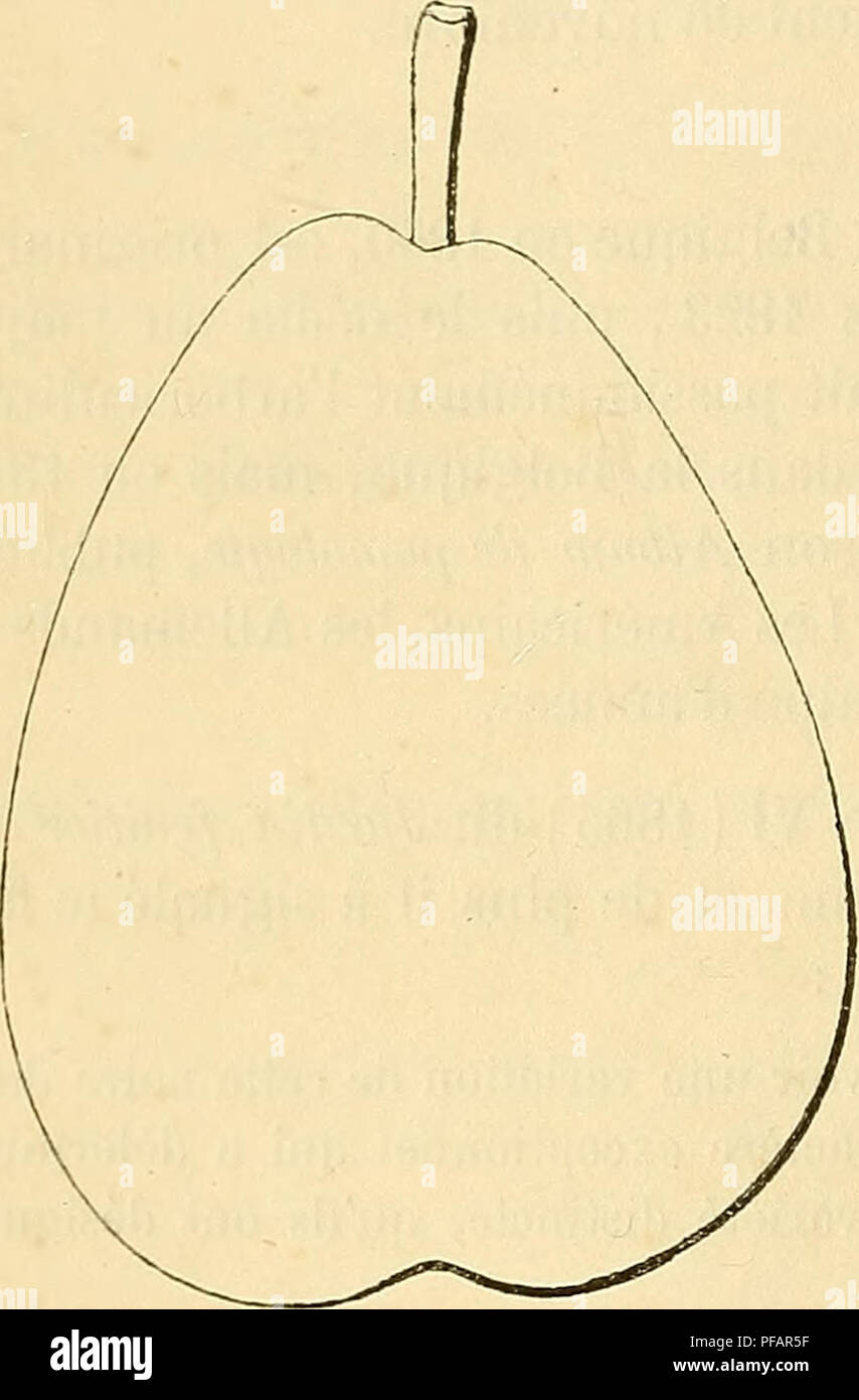 1530 70 High Resolution Stock Photography And Images Alamy