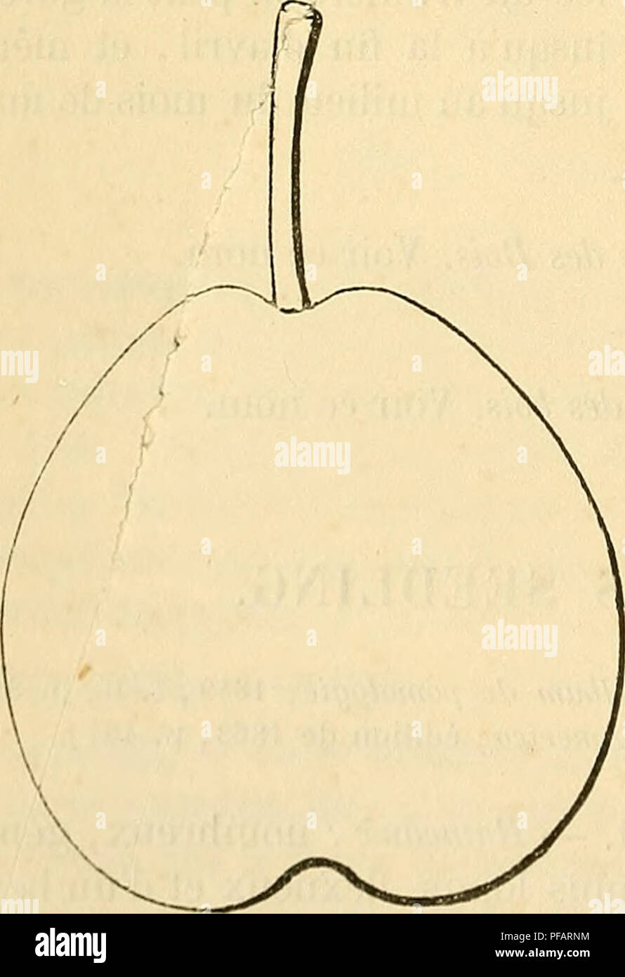 Synonyme High Resolution Stock Photography And Images Alamy