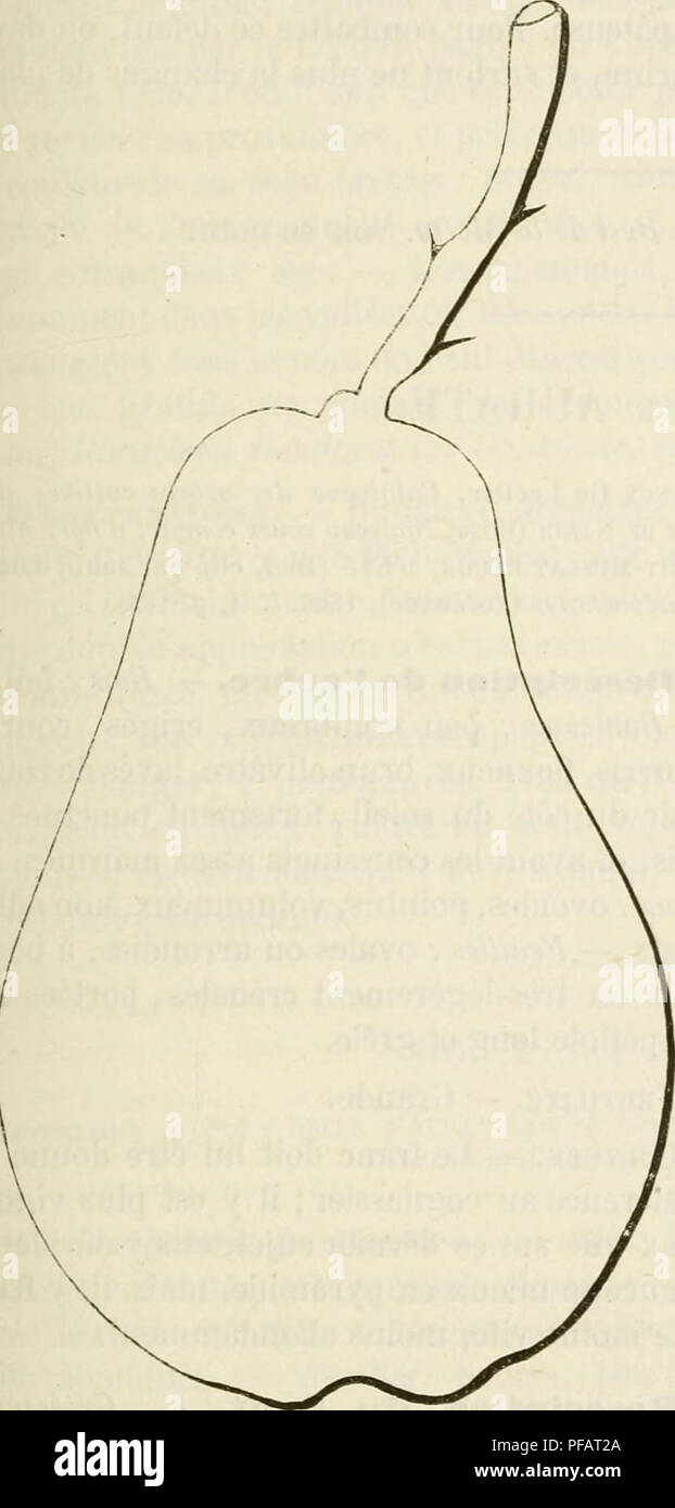 Pomology Examples This French pomology dictionary details the history and description of ...