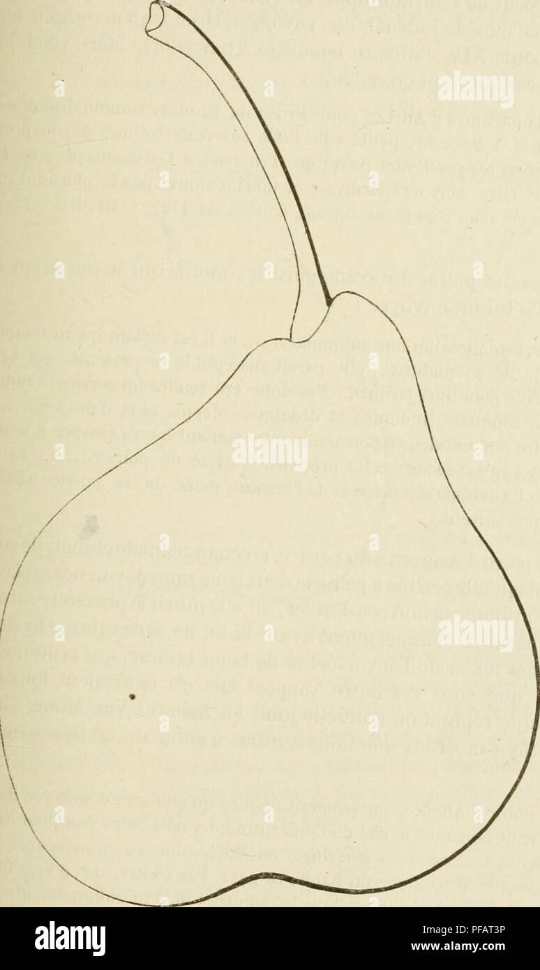 This historical pomology dictionary details various fruits, both ...