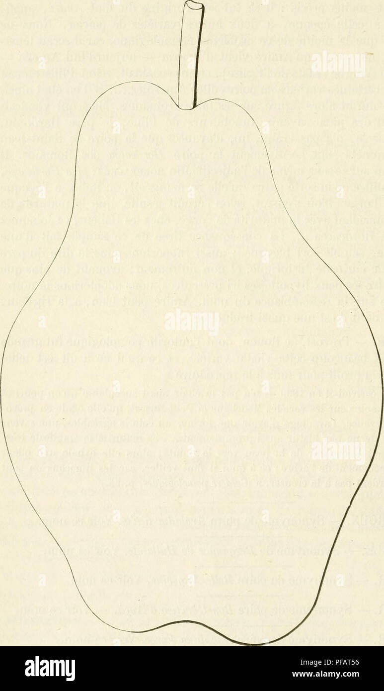 Dictionnaire De Pomologie Contenant L Histoire La Description La Figure Des Fruits Anciens Et Des Fruits Modernes Les Plus G C N C Ralement Connus Et Cultiv C S Fruit Culture No Amo 33 Poire D Amour S Ynonymes Poires Dictionnaire De Pomologie Contenant L Histoire La Description La Figure Des Fruits Anciens Et Des Fruits Modernes Les Plus G C N C Ralement Connus Et Cultiv C S Fruit Culture No Amo 33 Poire D Amour S Ynonymes Poires