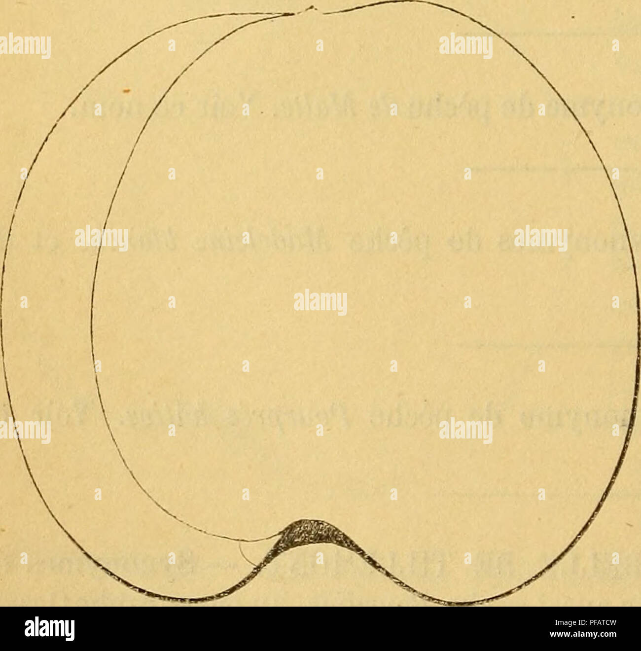 Le jardin du souvenir hires stock photography and images Alamy