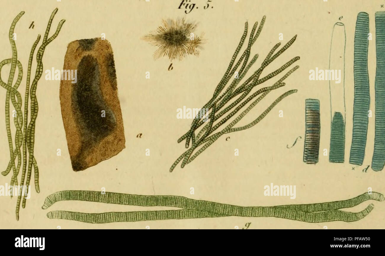 Roik High Resolution Stock Photography And Images Alamy