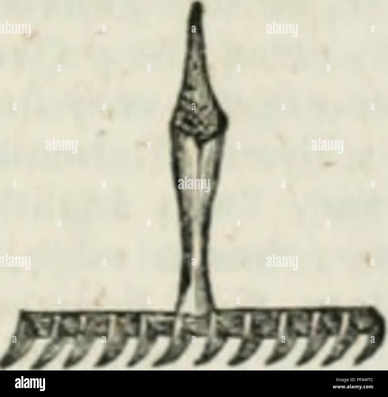 . A dictionary of modern gardening. Gardening. RAKE (Fig. 140 ...