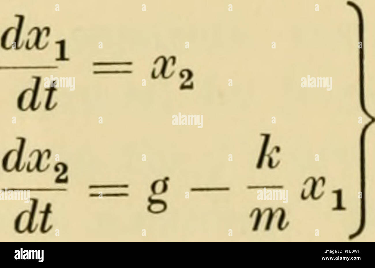 This work discusses the mathematical modeling of brain functions ...
