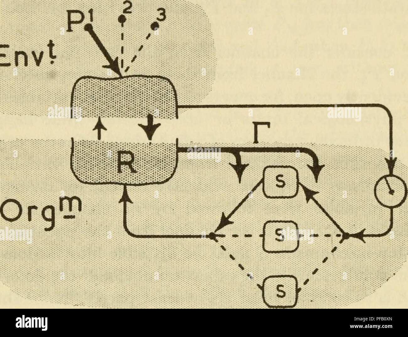. Design for a brain; the origin of adaptive behavior. Calculators ...