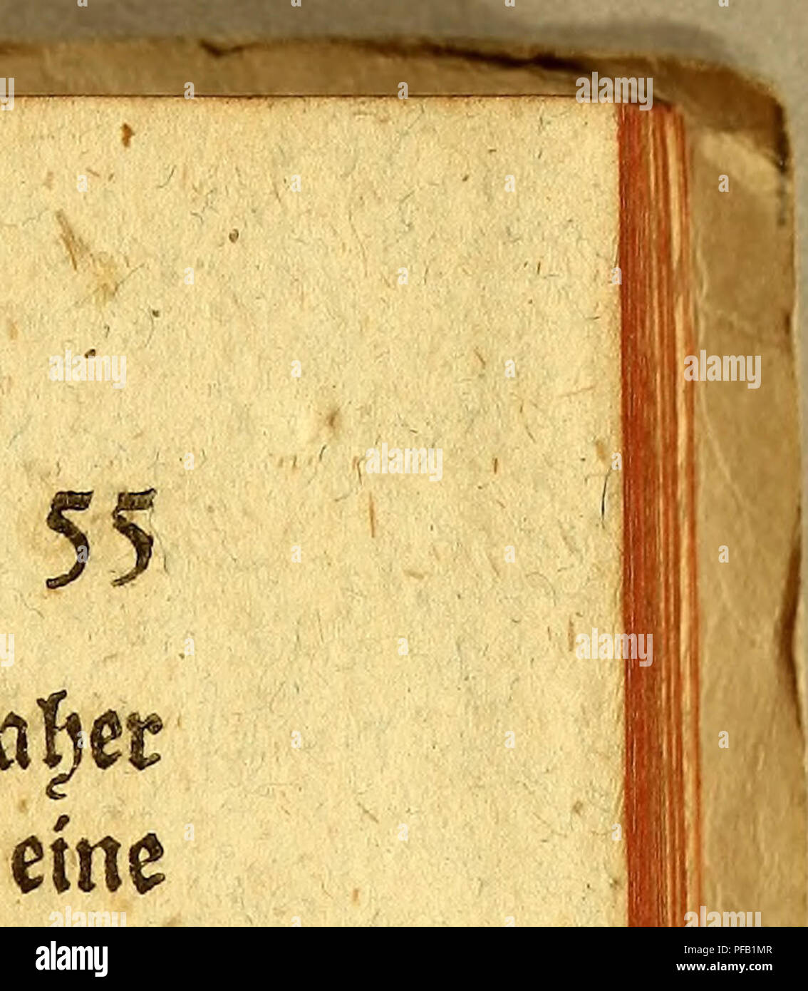 . Des Herrn Abts Vidaure Kurzgefasste geographische, natürliche und bürgerliche Geschichte des Königreichs Chile,. Natural history; Mapuche Indians; Indian linguistics; Imprint 1782. tHefjren, unb oft ganje 33üfcf)e fcott Tfefjren. 3&gt;a|et tjl ber 5Öet|ett fefjr wohlfeil, ob man gfeid) eine gro£e SRenge nacf) $&gt;eru ausführt- £ben fo fruchtbar ift bafefbfi ba$ £ürftfd)e Sooft »tfrifc man einige ©attungen anbauet* €in jeber @tengef tragt gemeinigficf) &gt;ier ober fünf bicfe Äofben- Tin ollen übrigen Wirten r*on €nm patfdjem ©etreibe unb $üffenfrüd)ten fyat €£tfe in atteti feinen ^rosinjen Stock Photo