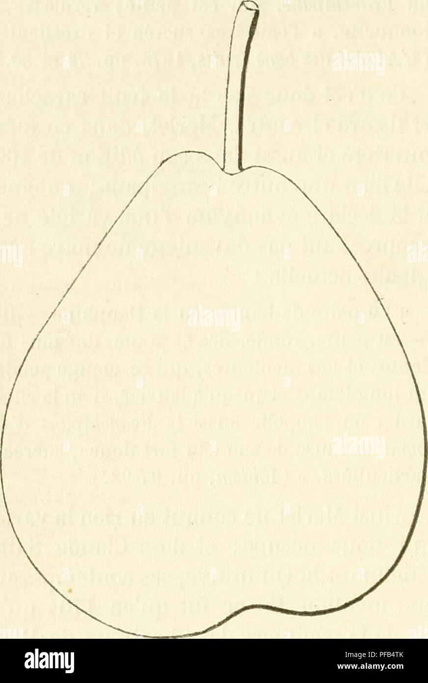 Page 2 Oliva S High Resolution Stock Photography And Images Alamy