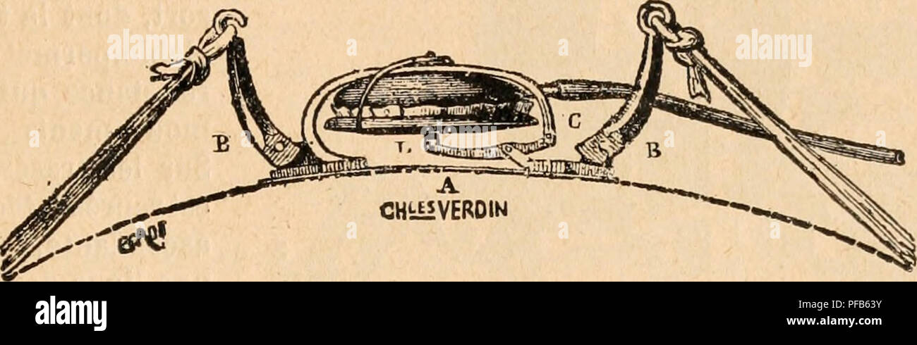 The 'Dictionnaire de physiologie' discusses various physiological ...