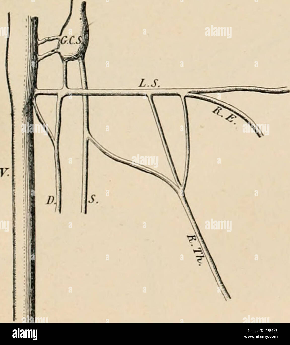 Obser Stock Photos Obser Stock Images Page 3 Alamy