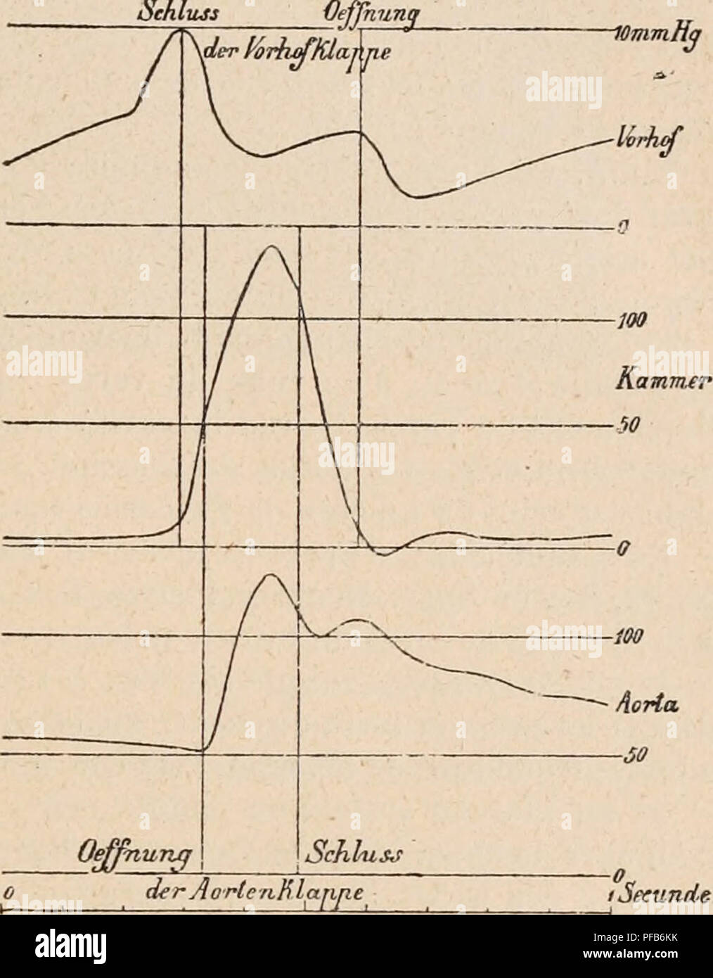 . Dictionnaire de physiologie. Physiology. CARDIOGRAPHE. ^59 SchU 3i3 ...