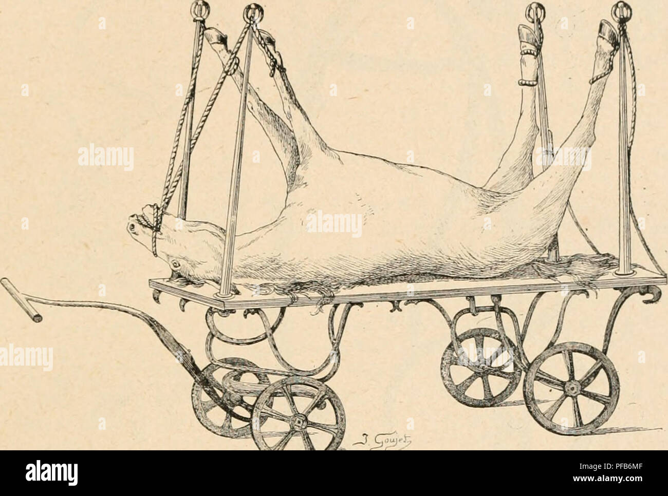 Fairi High Resolution Stock Photography and Images - Alamy