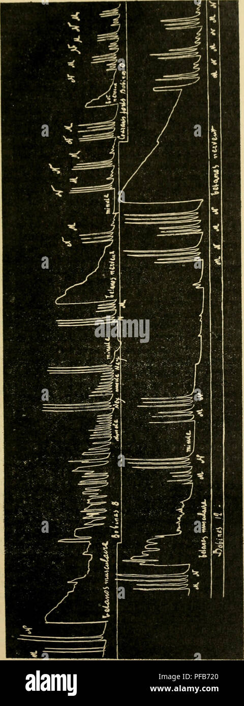 Page 3 5 4 Cr High Resolution Stock Photography And Images Alamy