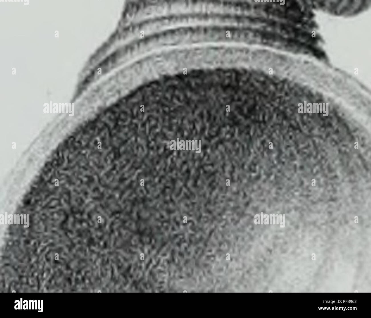 24 11 1875 High Resolution Stock Photography And Images Alamy