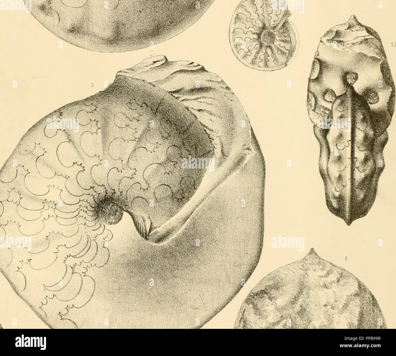 Hauts plateaux hires stock photography and images Alamy