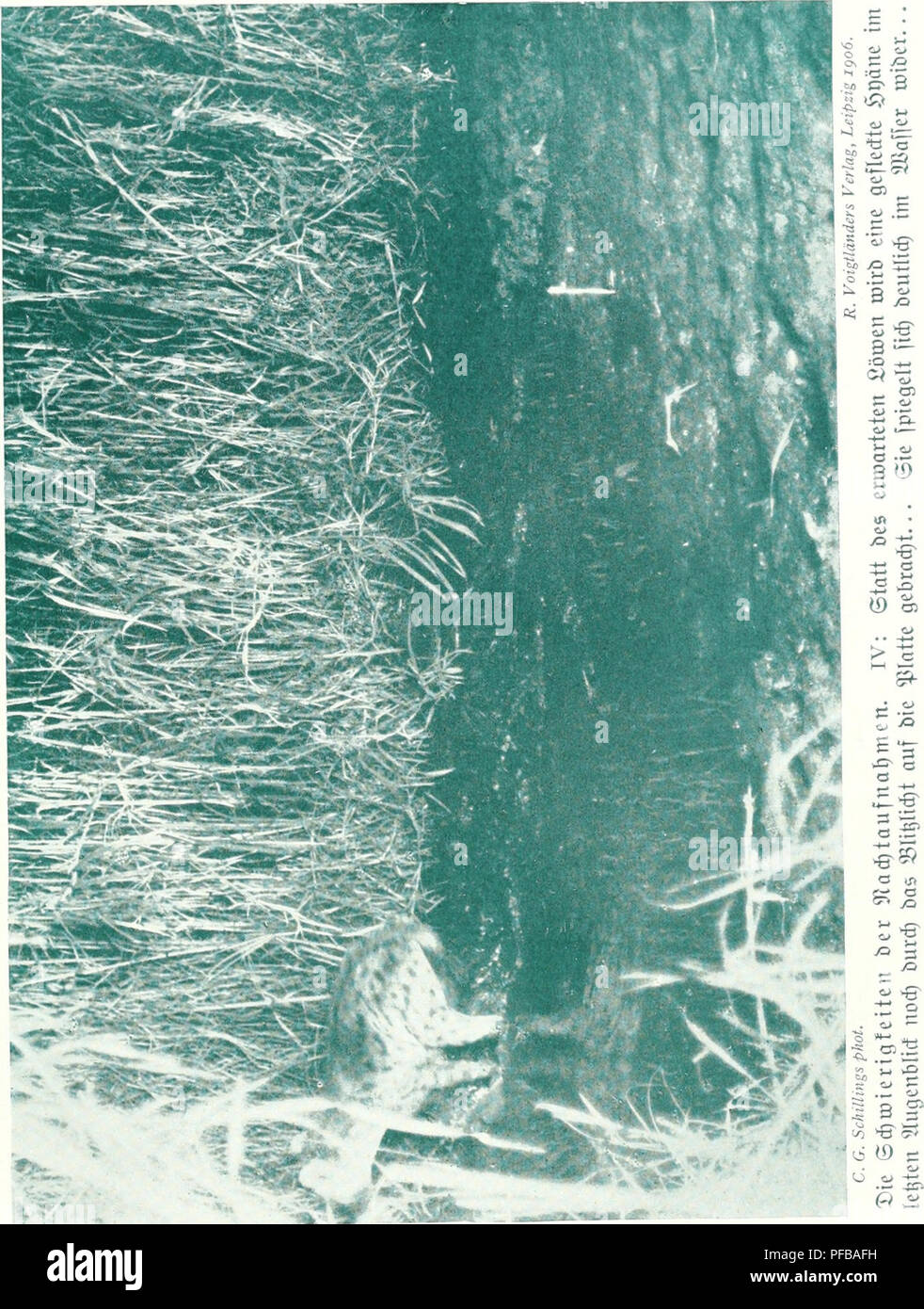 This work is a study of the magical and mystical elements associated ...