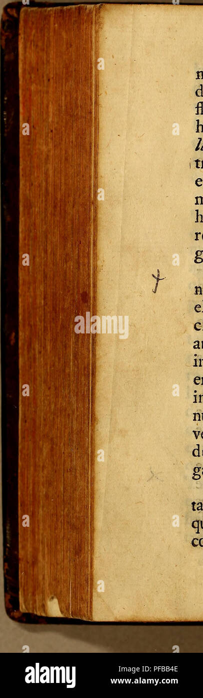 . Diccionario portuguez das plantas, arbustos, matas, arvores, animaes quadrupedes, e reptis, ayes, peixes, mariscos, insectos, gomas, metaes, pedras, terras, mineraes, &amp;c. : que a Divina Omnipotencia creou no globo terraqueo para utilidade dos viventes,. Plant names, Popular; Animals; Mineralogy; Natural history. 394 Diccionario mento. Ha outra efpecie , que fó fe differença era que no fim dos talos deifc flores em forma de efpigas. Também ha outra planta, a que chamão Orte- Ueftrangeira^t he eípecie de Men- trafto, a qual tem a folha mais liza; e larga, comprida, e o cheiro algu- ma couf Stock Photo