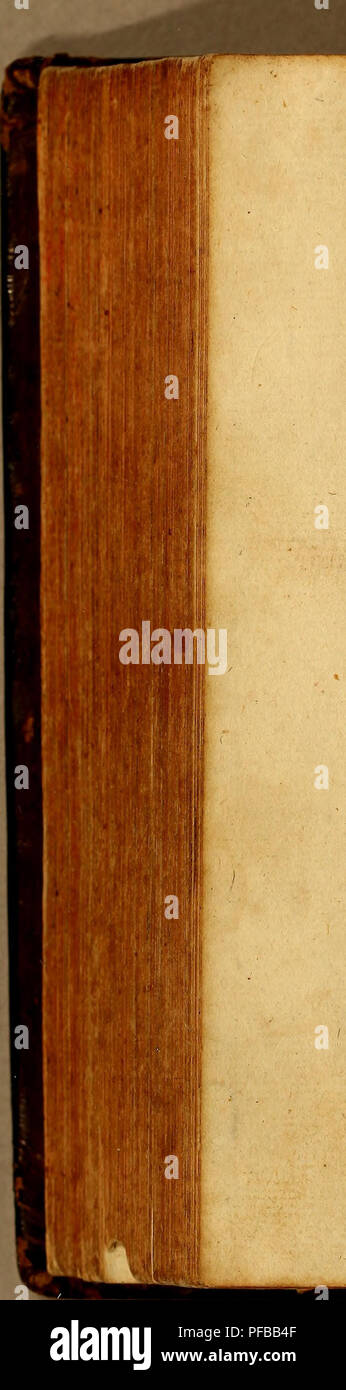 Efte High Resolution Stock Photography And Images Alamy