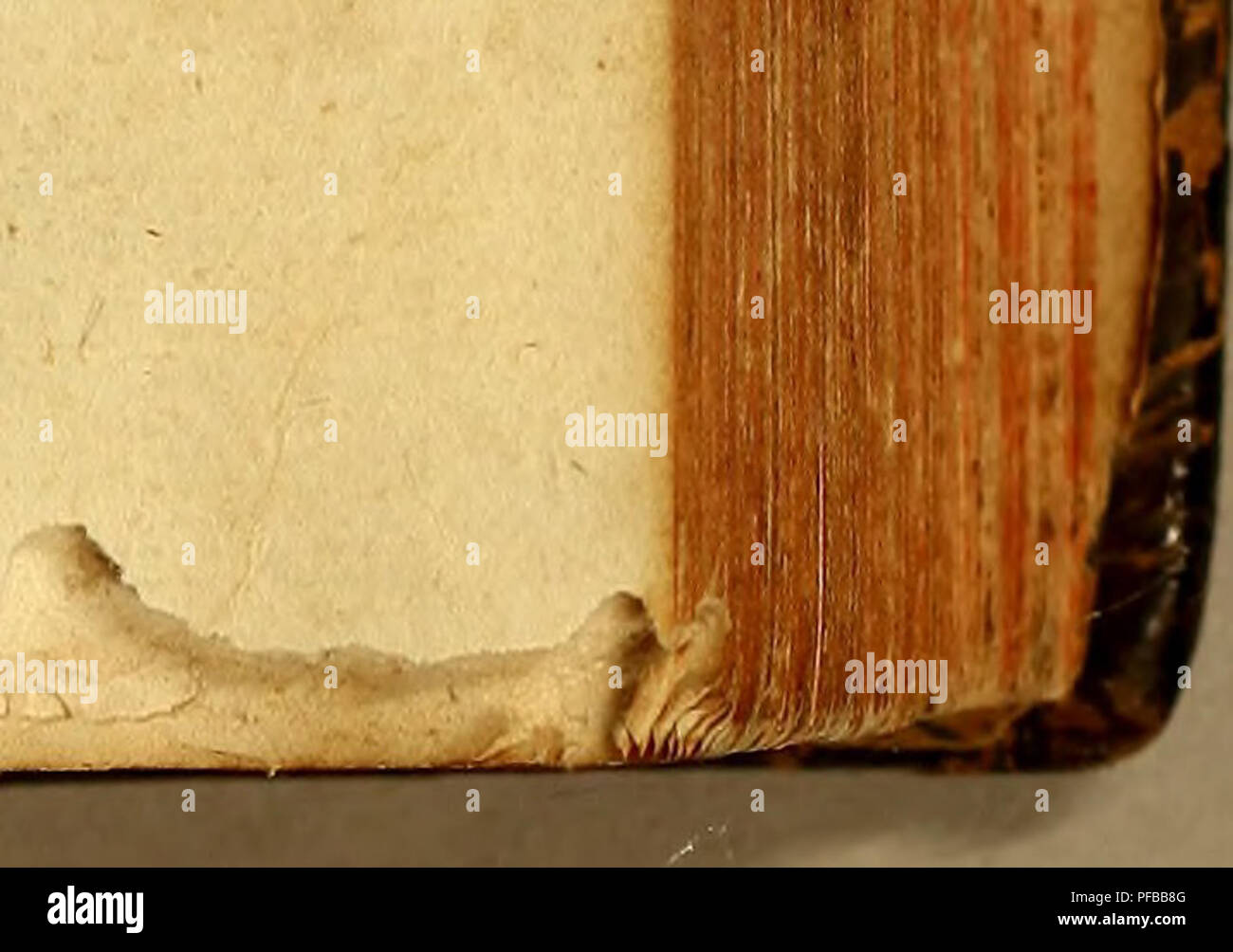 Ieu High Resolution Stock Photography And Images Alamy