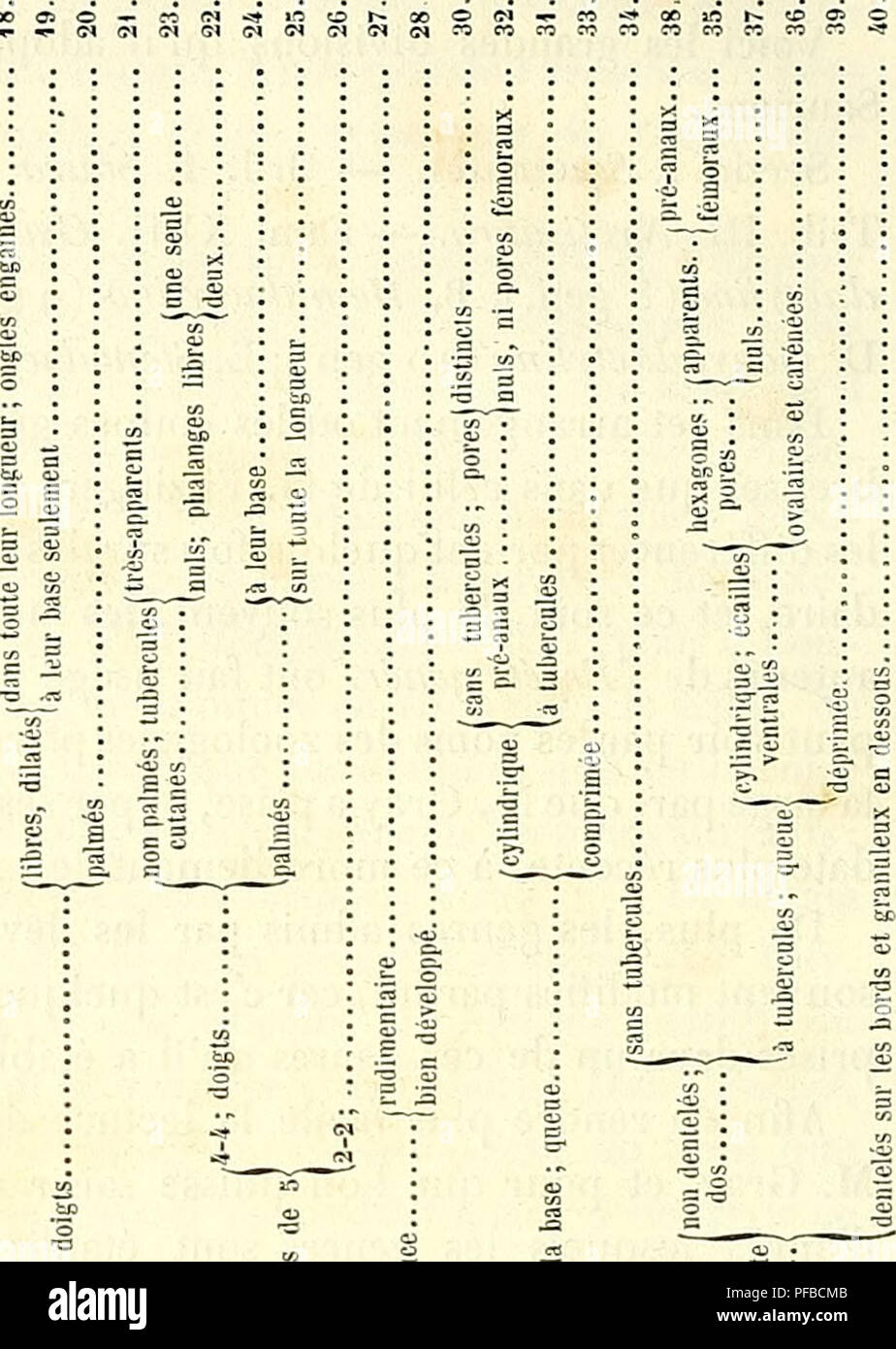 . Description des reptiles nouveaux, ou, Imparfaitement connus de la collection du MusÃ©um d'histoire naturelle et remarques sur la classification et les caractÃ¨res des reptiles. MusÃ©um national d'histoire naturelle (France); Reptiles; Reptiles. 448 DESCRIPTION DES REPTILES DU MUSÃUM. a u&gt; es o O Z O &quot;S â a Â« o y â S .al â ii a; Â« Â« Ã.3  aÃ® ^ ^ . s* g . S t-J Ã¨r â - -=&quot; ta &quot;^ o i -53 -Â« â o u -oÂ» a ^ is =.nc.c.f-cc.o&lt;uJc.t-o. o -5 | CL Z X [i] C U U U 6 = 2 S &amp;. C/3 CO a a &lt;u  2 '1 S S 53 -0 =3 Â« ;0J &lt;U. Â« = â ce Â«s! a O â¢ ce -Â«! co z a z o 53 o ci Stock Photo