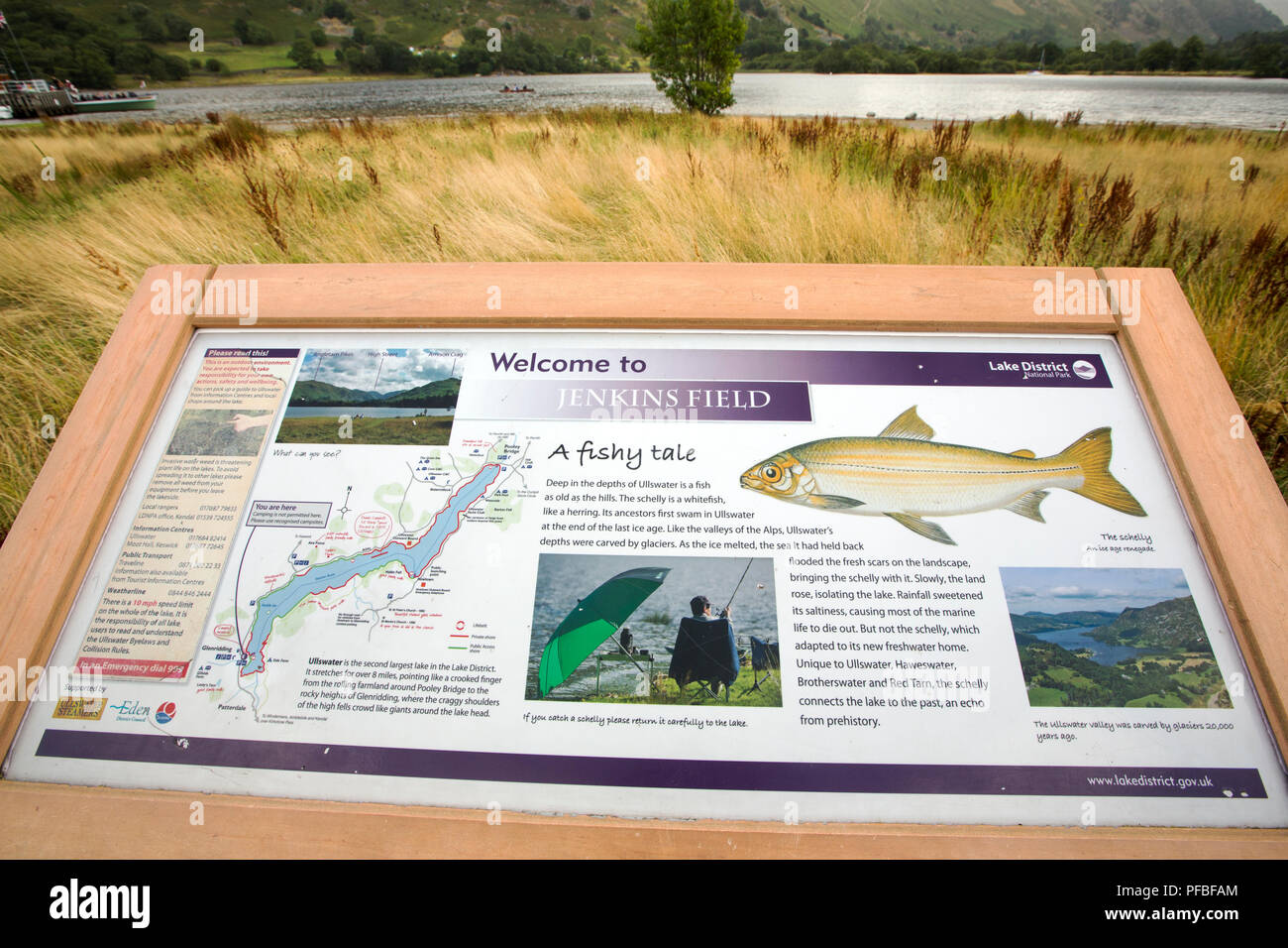 A sign about Schelly, Coregonus stigmaticus in Ullswater, Lake District, UK. Stock Photo