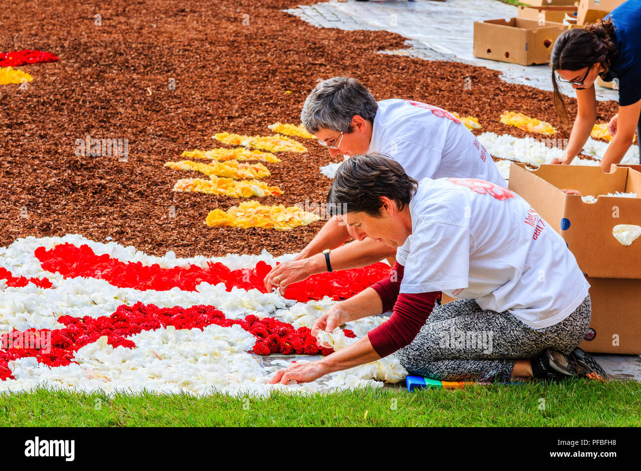 Brussels, Belgium  - August 16, 2018: Women create flower carpet on the Grand Place square. Stock Photo