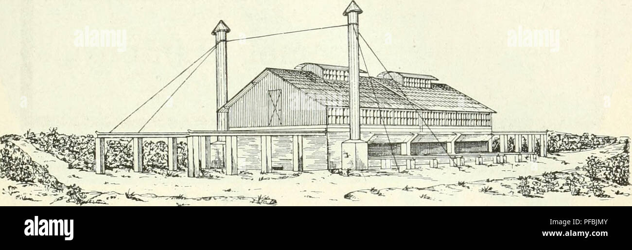 . Der Tropenpflanzer; zeitschrift fr tropische landwirtschaft. Tropical plants; Tropical crops. — 351 - Hölzerne und eiserne Gebäude aller Art Brücken usw. Moskito- bezw. malariasichere Tropenhäuser. Kakao-Trocken-Häuser. Altona Raiinveg'.. F. H. Schmidt Hamburg' Paiilstr. 21.. Please note that these images are extracted from scanned page images that may have been digitally enhanced for readability - coloration and appearance of these illustrations may not perfectly resemble the original work.. Berlin Stock Photo